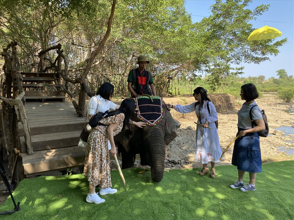 Đắk Lắk ban hành chính sách hỗ trợ phúc lợi cho voi